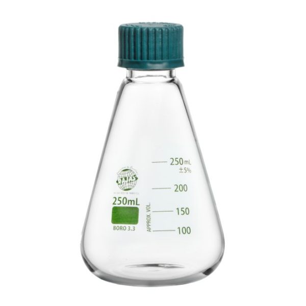 ERLENMEYER FLASK WITH SCREW CAP