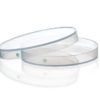  PETRI DISH
