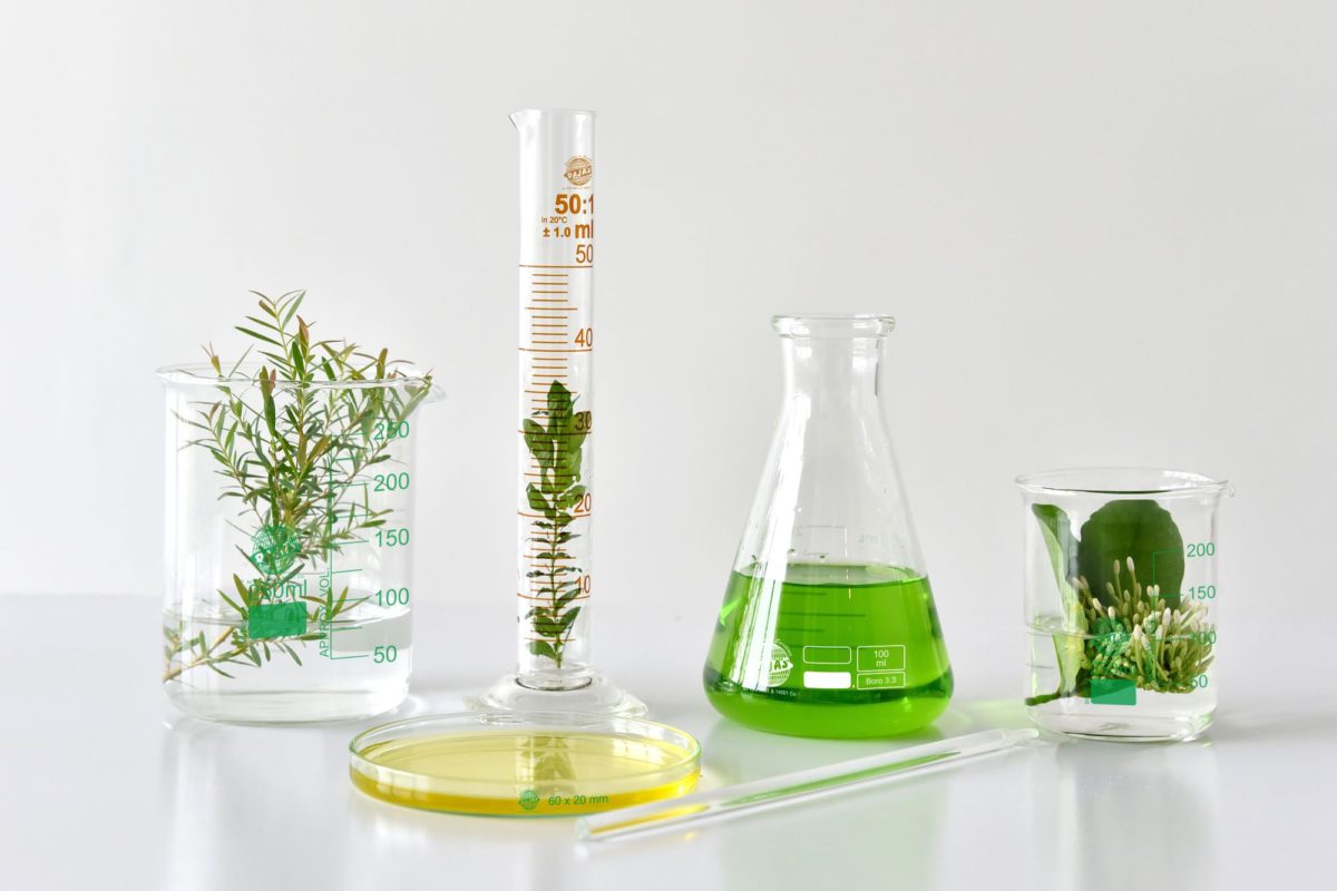 Top Glassware Manufacturer in Ambala